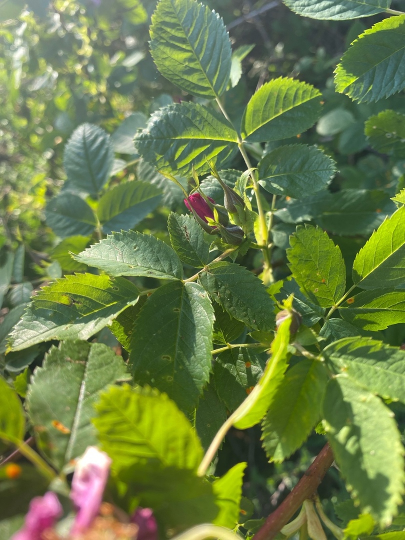 Бер хат тарихынан...