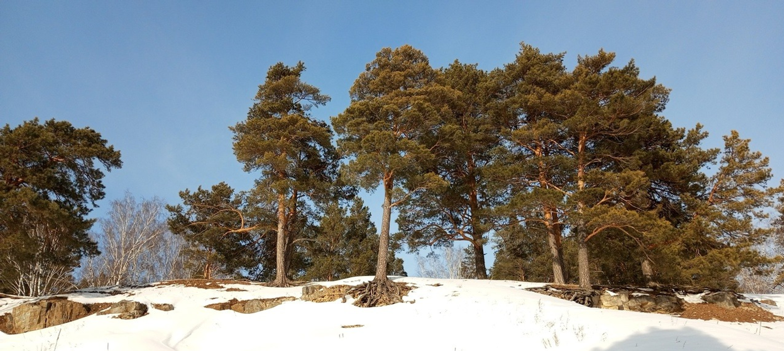 Башҡортостанда бала табырға ярҙам итеүсе Мөхәббәт тауы бар