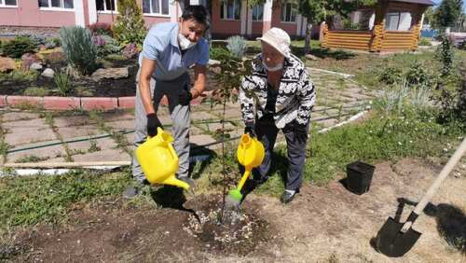Медики Башкортостана создали Аллею ветеранов